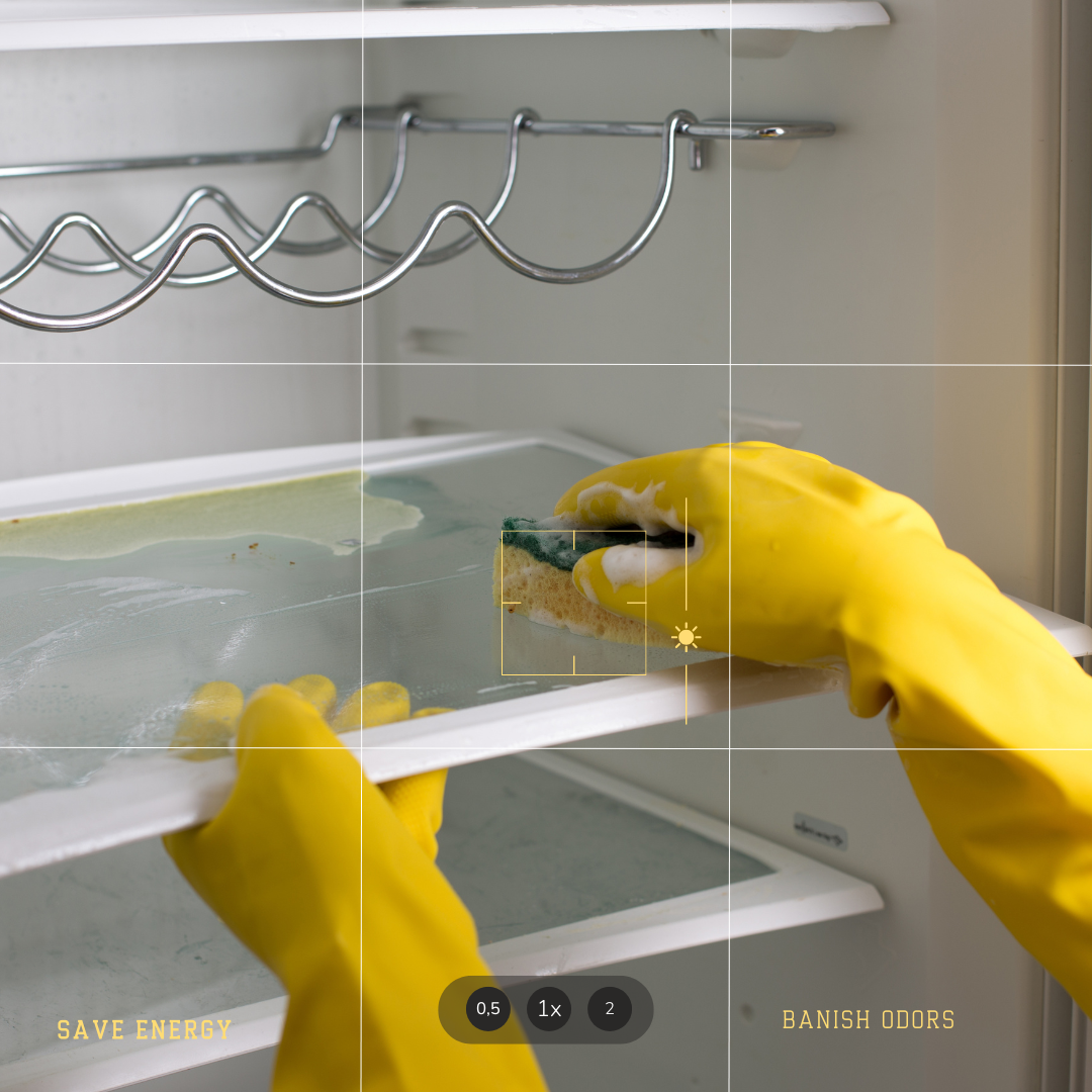 Clean Refrigerator Coils and Drip Trays to Save Energy and Banish Odors